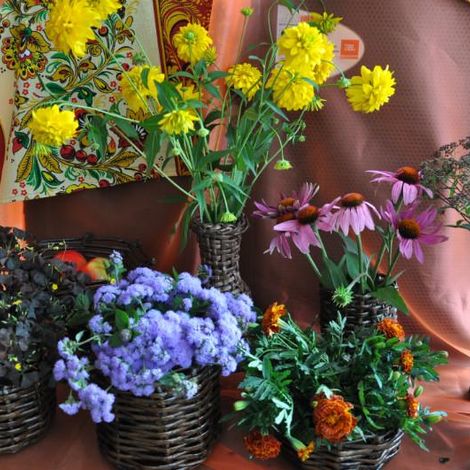 Выставка цветов с. М.Салаирка