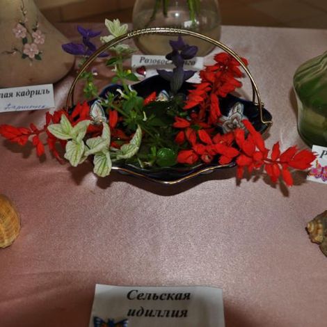 Выставка цветов с. М. Салаирка